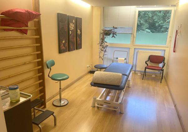 Immobilier Professionnel à vendre Ferney-Voltaire