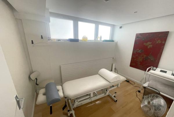 Immobilier Professionnel à vendre Ferney-Voltaire