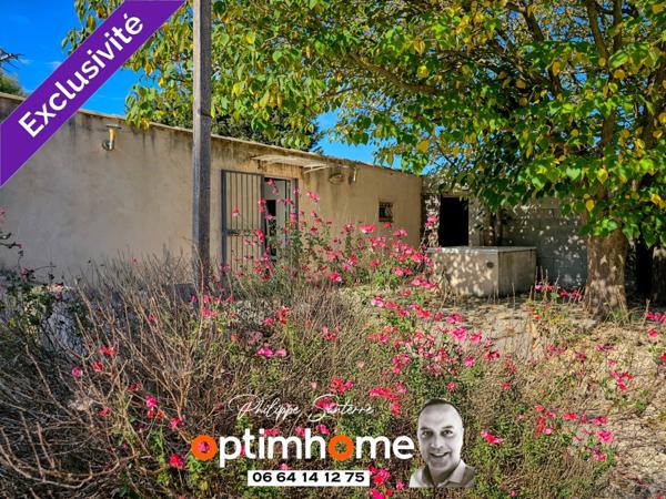 Maset P2 44 m² (62 m² au sol) sur terrain de 530 m² à Bernis