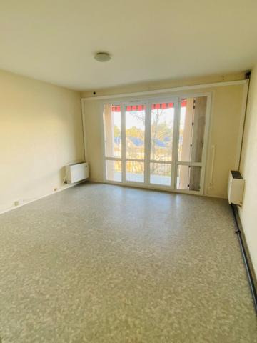 Appartement Saint Jean De Braye 2 pièce(s) 51 m2