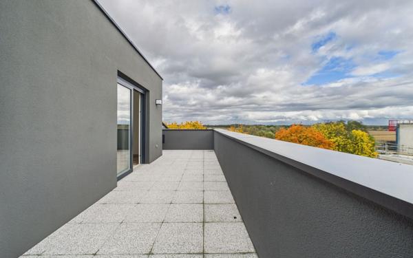 Appartement à louer    3 pièces •  Vendenheim