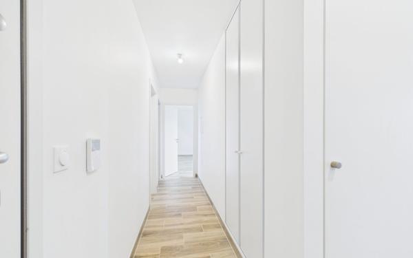 Appartement à louer    3 pièces •  Vendenheim