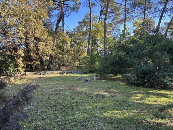 Maison traditionnelle