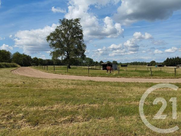 Maison à vendre  3 pièces - 45 m2 SANCOINS - 18