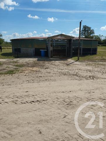 Maison à vendre  3 pièces - 45 m2 SANCOINS - 18