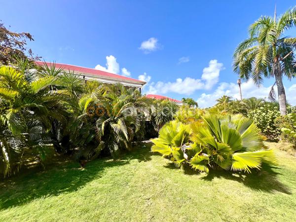 Vente
                Appartement27,97 m² - 2 Pièces -
                    Saint-François (97118)