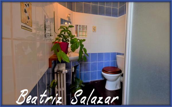 Appart 5 p, balcon, cave, grenier, centre DIGNE LES BAINS (04)