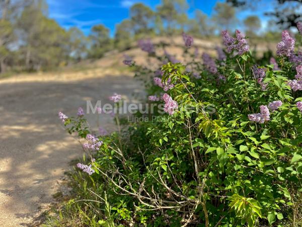 Maison avec piscine sur terrain de 5000 M2 avec Dépendances