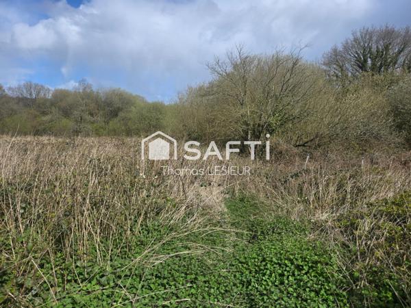 situé à la ferrière-aux-étangs