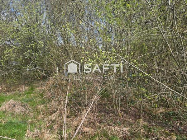 situé à la ferrière-aux-étangs