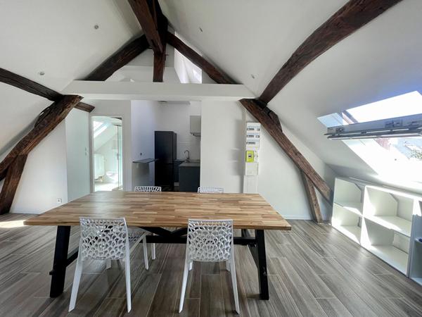 Orleans Théatre - 2 Pièces 28,4m² (52m² au sol)