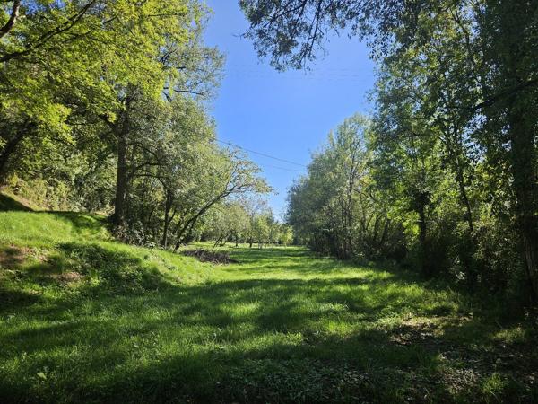MAISON DANS LA CAMPAGNE AVEC ETANG PRiVE Condom