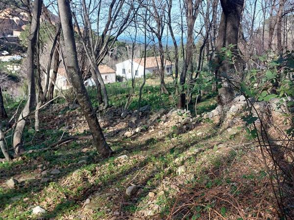 Terrain Constructible de 1100 m²
