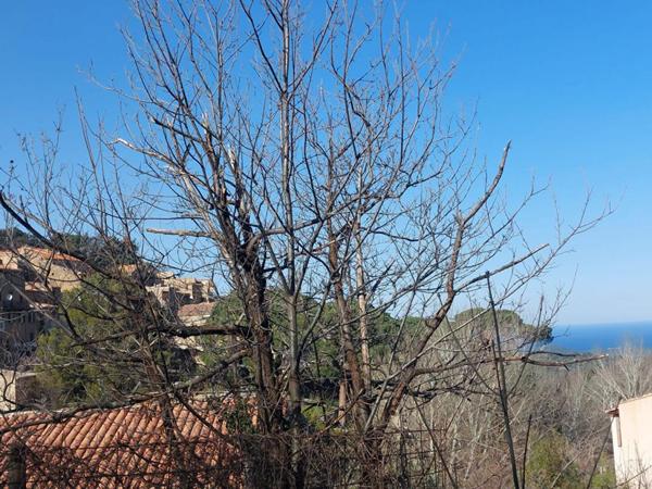 Terrain Constructible de 1100 m²