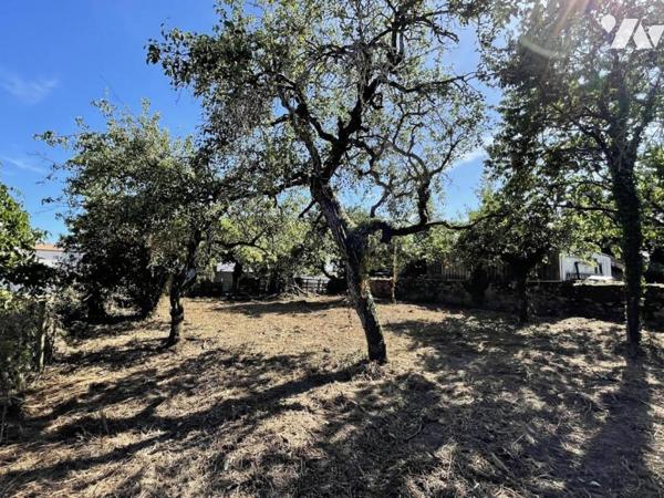 TERRAIN A BATIR SAINT BREVIN LES PINS - LE PLESSIS
