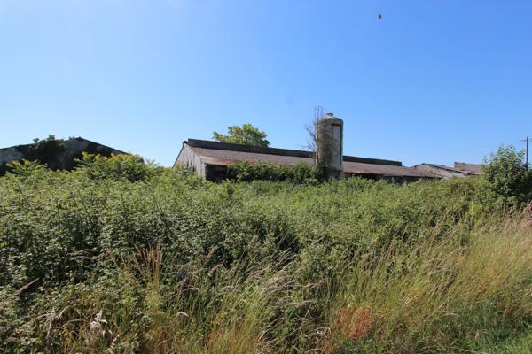 Terrain agricole