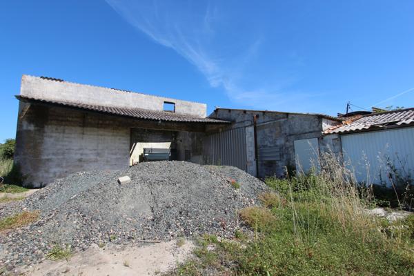 Terrain agricole