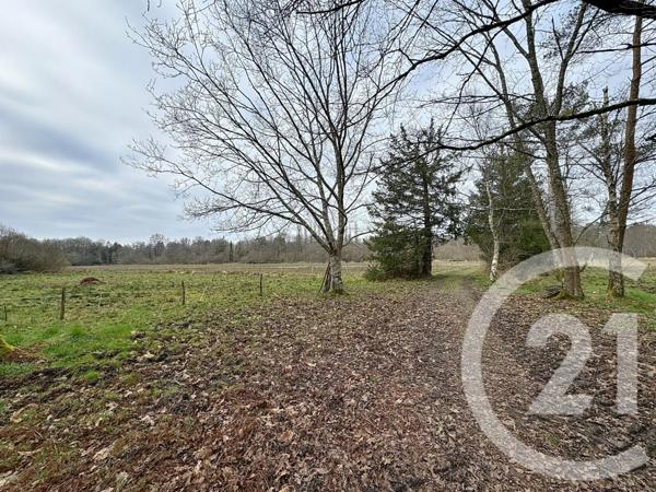 Maison à vendre  7 pièces - 214 m2 NEUVY SUR BARANGEON - 18