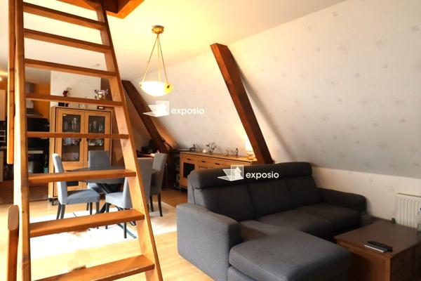 Appartement Gerstheim 3 pièce(s) 55.54 habitable et 101.57 au sol