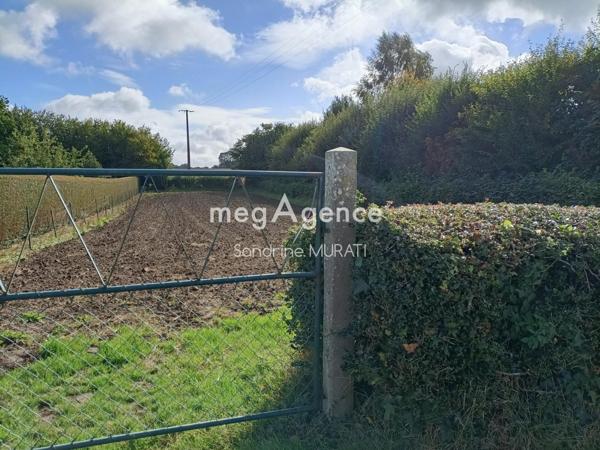 Terrain à GANDELAIN, 61420 - 656m²