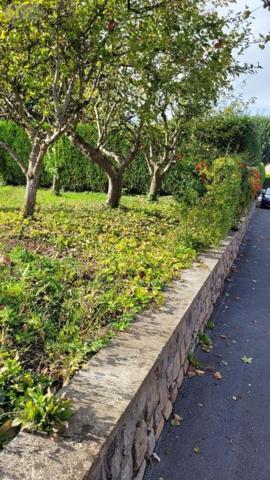 Terrain à Batir à vendre à Bruay-la-Buissière dans le Pas-de-Calais (62700), ref : 21/2524