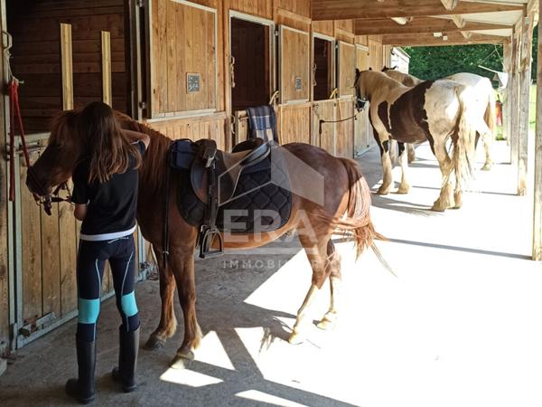Propriété équestre Dunkerque