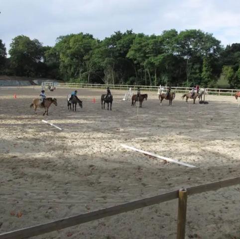 Propriété équestre Dunkerque