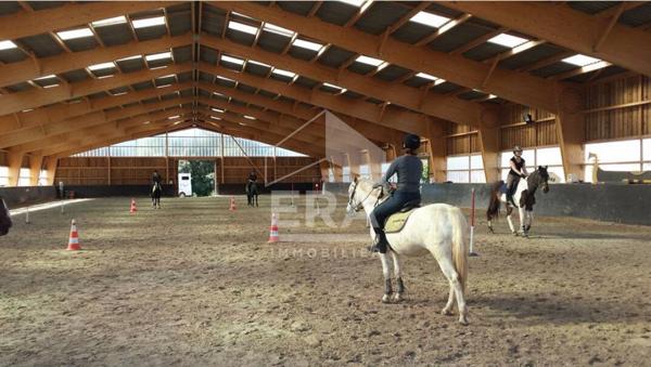 Propriété équestre Dunkerque