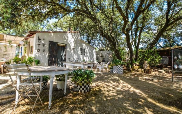 Maison à vendre    2 pièces •  Tavel