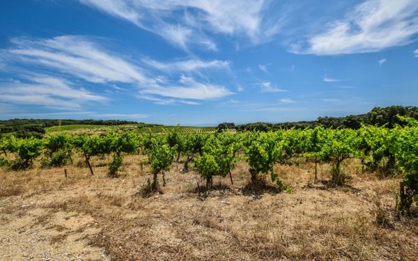 Maison à vendre    2 pièces •  Tavel