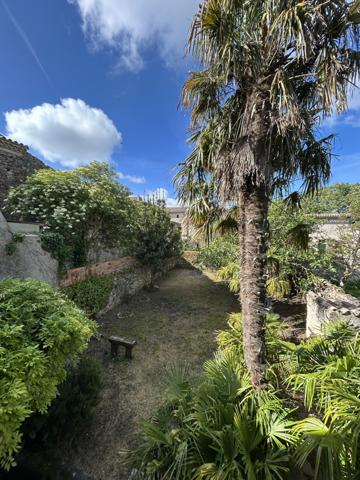 Belle Maison de Maître à Fanjeaux Fanjeaux (11270)