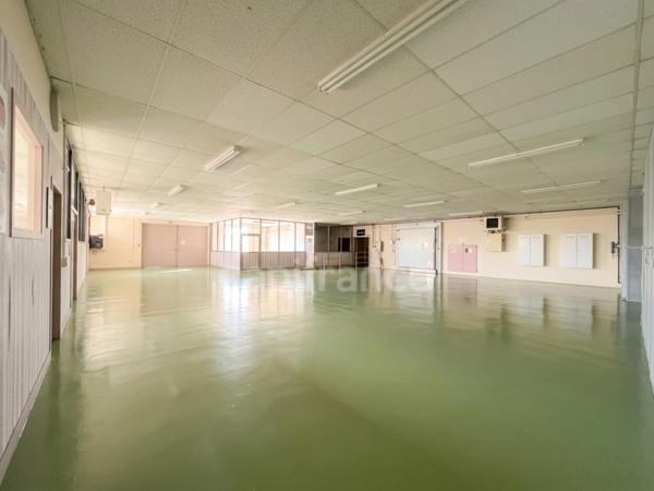 Site industriel et logistique de 7 160 m² sur 5,1 ha - Accès N10 - Chevanceaux (17)