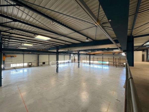 Site industriel et logistique de 7 160 m² sur 5,1 ha - Accès N10 - Chevanceaux (17)