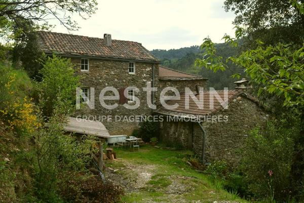 Authentique mas cévenol avec vue panoramique ? 3 logements et charme de la pierre au coeur des Cévennes