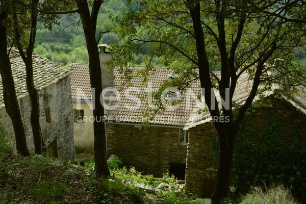 Authentique mas cévenol avec vue panoramique ? 3 logements et charme de la pierre au coeur des Cévennes