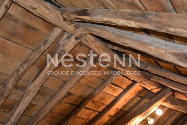 Authentique mas cévenol avec vue panoramique ? 3 logements et charme de la pierre au coeur des Cévennes