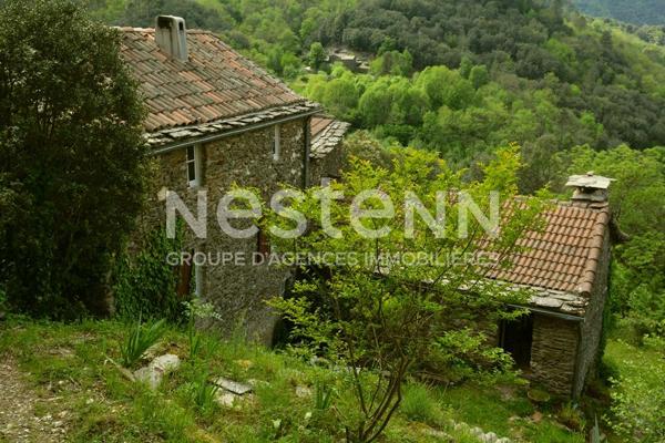 Authentique mas cévenol avec vue panoramique ? 3 logements et charme de la pierre au coeur des Cévennes