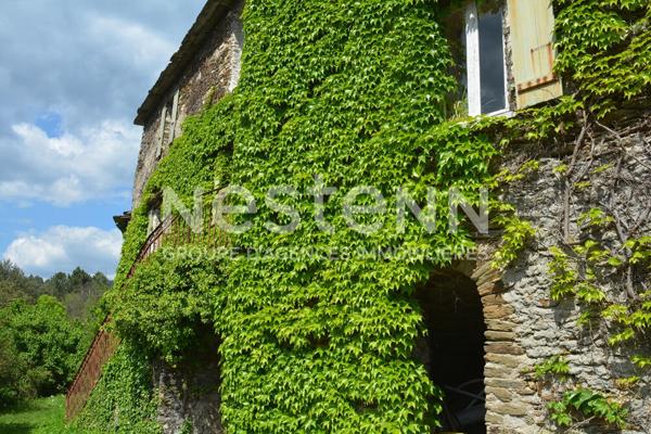 Authentique mas cévenol avec vue panoramique ? 3 logements et charme de la pierre au coeur des Cévennes