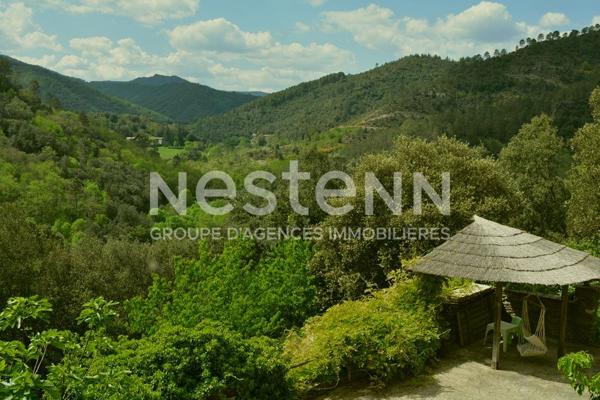 Authentique mas cévenol avec vue panoramique ? 3 logements et charme de la pierre au coeur des Cévennes