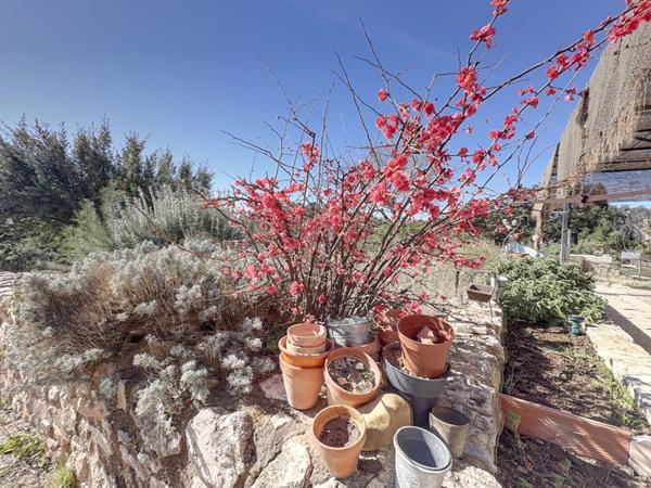 Mas de charme à Mouriès, 180 m² avec vue sur les Alpilles et 6 hectares d'oliviers cultivés en bio
