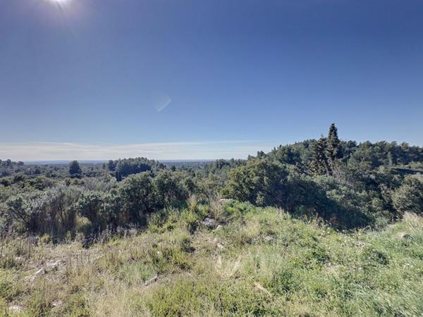 Mas de charme à Mouriès, 180 m² avec vue sur les Alpilles et 6 hectares d'oliviers cultivés en bio