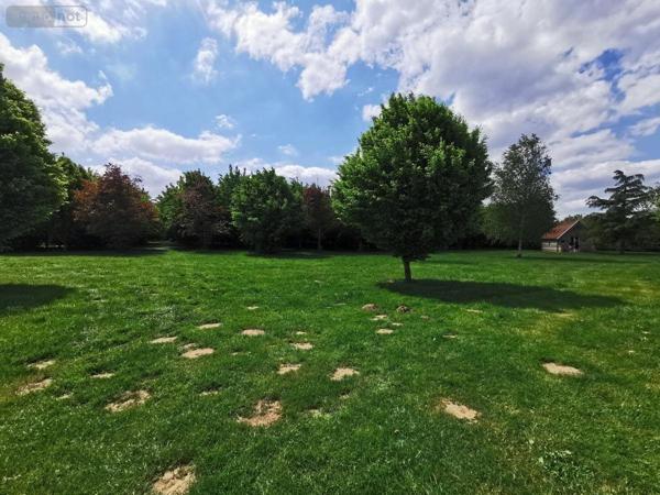 Maison à vendre à Bapaume dans le Pas-de-Calais (62450), ref : 62017-3153