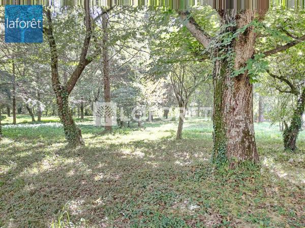 Achat terrain Prats-de-Mollo-la-Preste - 22102 m² - 892 500 €