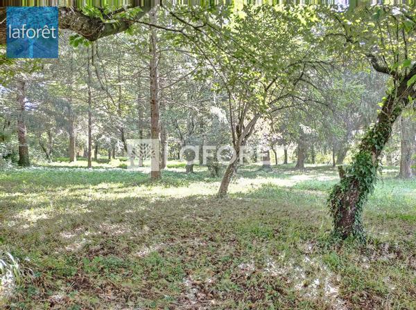 Achat terrain Prats-de-Mollo-la-Preste - 22102 m² - 892 500 €