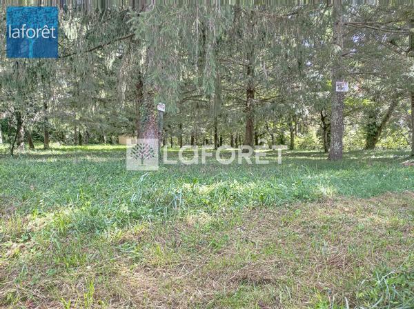 Achat terrain Prats-de-Mollo-la-Preste - 22102 m² - 892 500 €