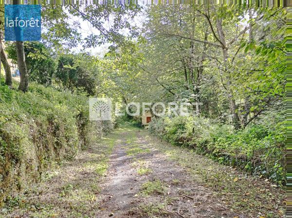 Achat terrain Prats-de-Mollo-la-Preste - 22102 m² - 892 500 €