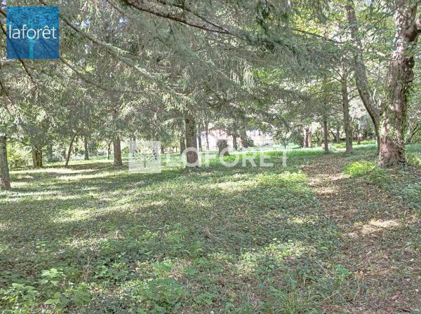 Achat terrain Prats-de-Mollo-la-Preste - 22102 m² - 892 500 €