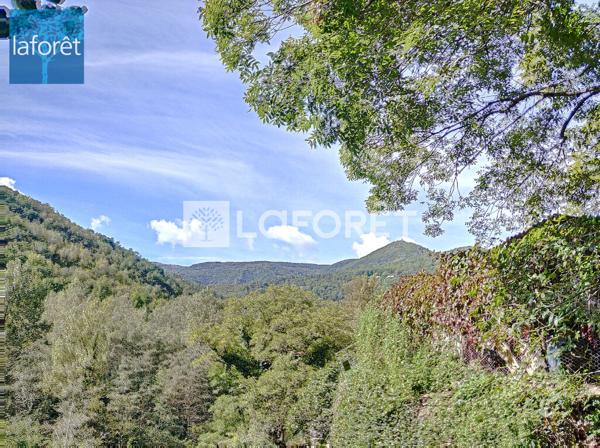Achat terrain Prats-de-Mollo-la-Preste - 22102 m² - 892 500 €