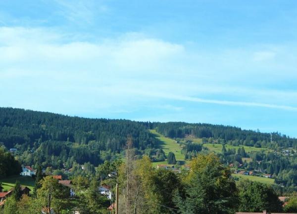 Appartement à vendre    4 pièces • 165,67 m2 Xonrupt-Longemer