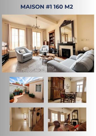 Ensemble 2 Maisons Centre Ville Montoire sur-le-loir - 41800